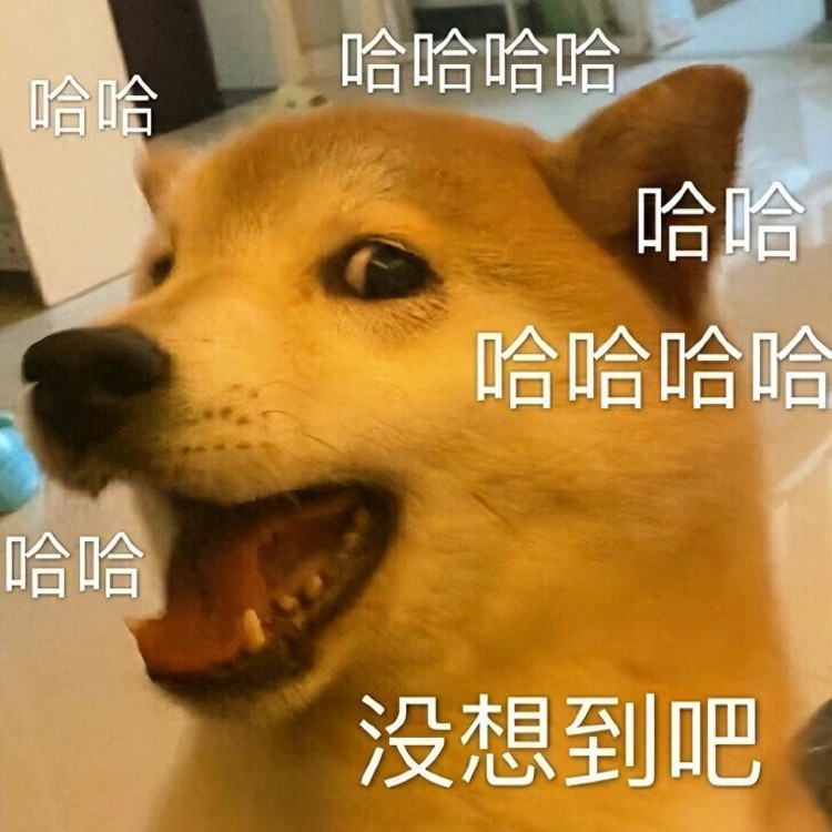 若狗有这几个特征说明是个旺家犬！